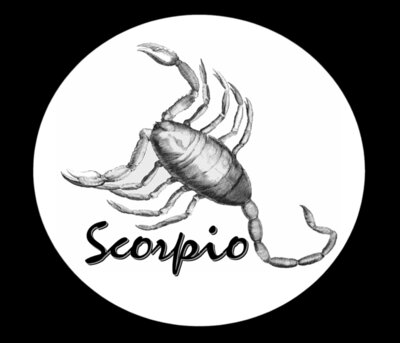 Scorpio-White