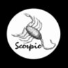 Scorpio-White