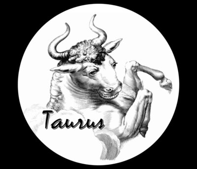 Taurus-White