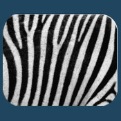 Zebra Mouse Pad