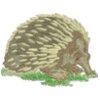 Echidna