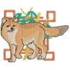 Dhole